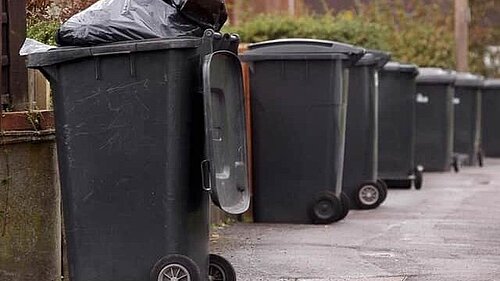 Peterborough could see smaller black bins trialled